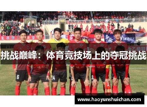 挑战巅峰：体育竞技场上的夺冠挑战