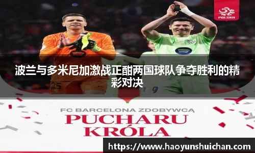 波兰与多米尼加激战正酣两国球队争夺胜利的精彩对决
